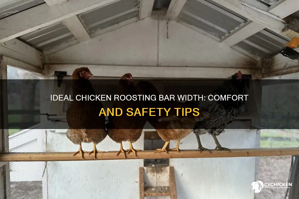 how wide should a chicken roosting bar be