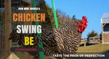 Perfect Chicken Swing Width: Ensuring Comfort and Safety for Your Flock