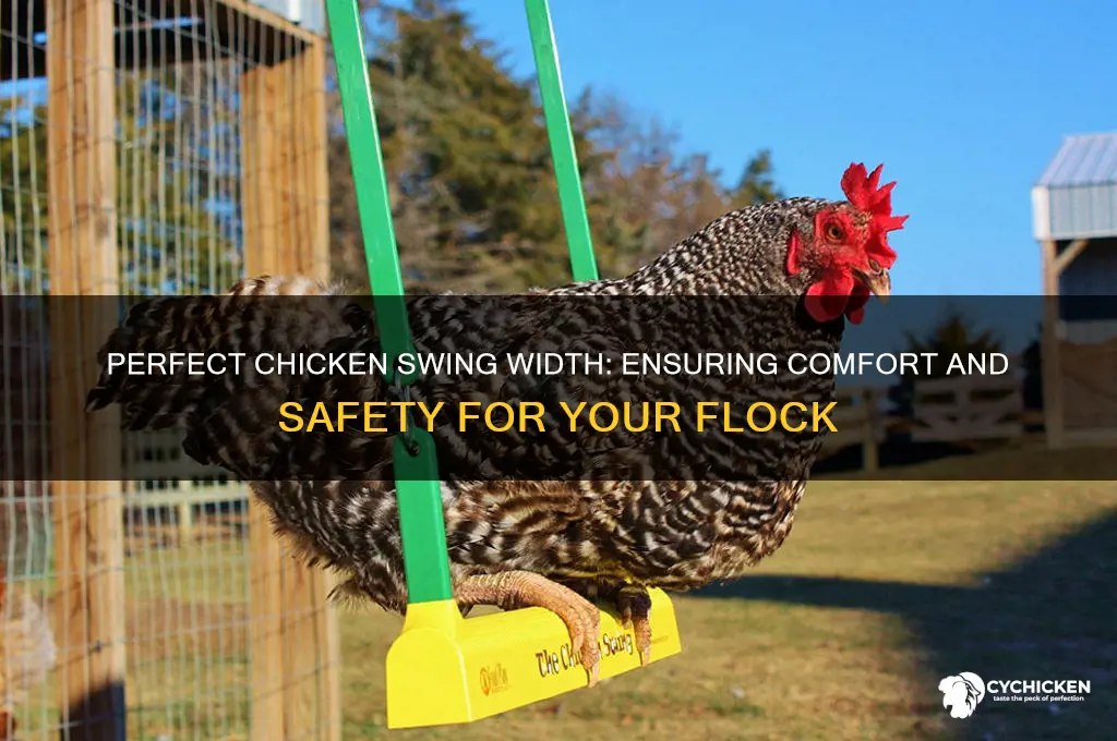 how wide should a chicken swing be