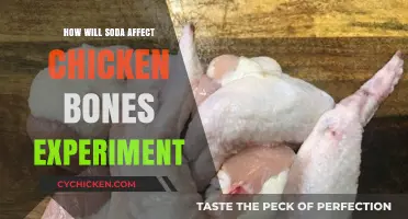 Soda's Impact on Chicken Bones: A Surprising Experiment Revealed