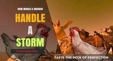 Weathering the Storm: How Chickens Instinctively Cope with Extreme Conditions