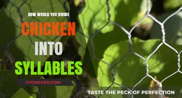 Mastering Syllable Division: A Simple Guide to Splitting 'Chicken