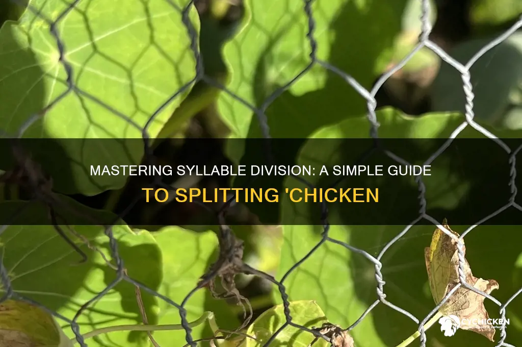 how would you divide chicken into syllables