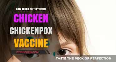 Chickenpox Vaccine: When Should Young Children Get Their First Shot?