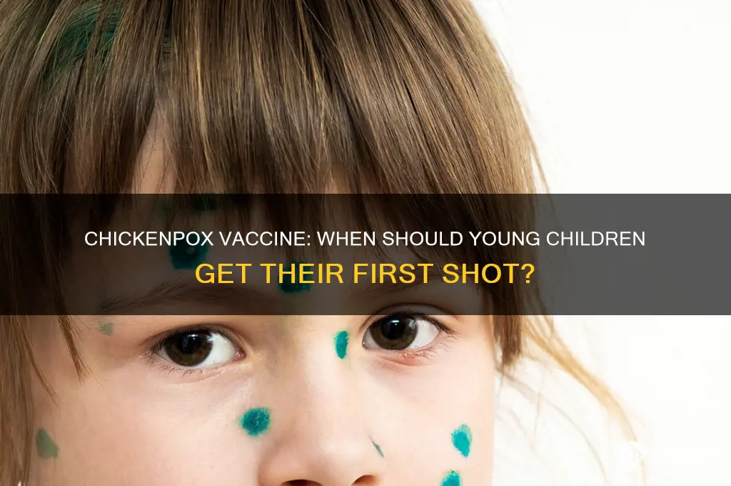 how young do they start chicken chickenpox vaccine