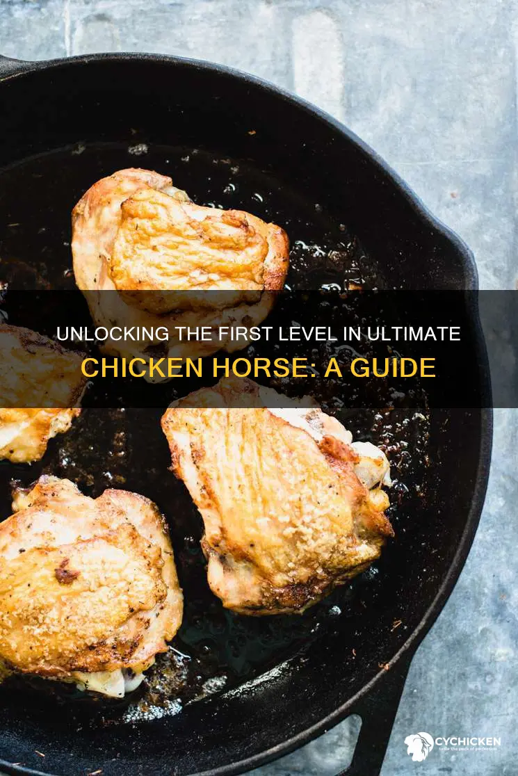 how yto unlock first level in ultimate chicken horse