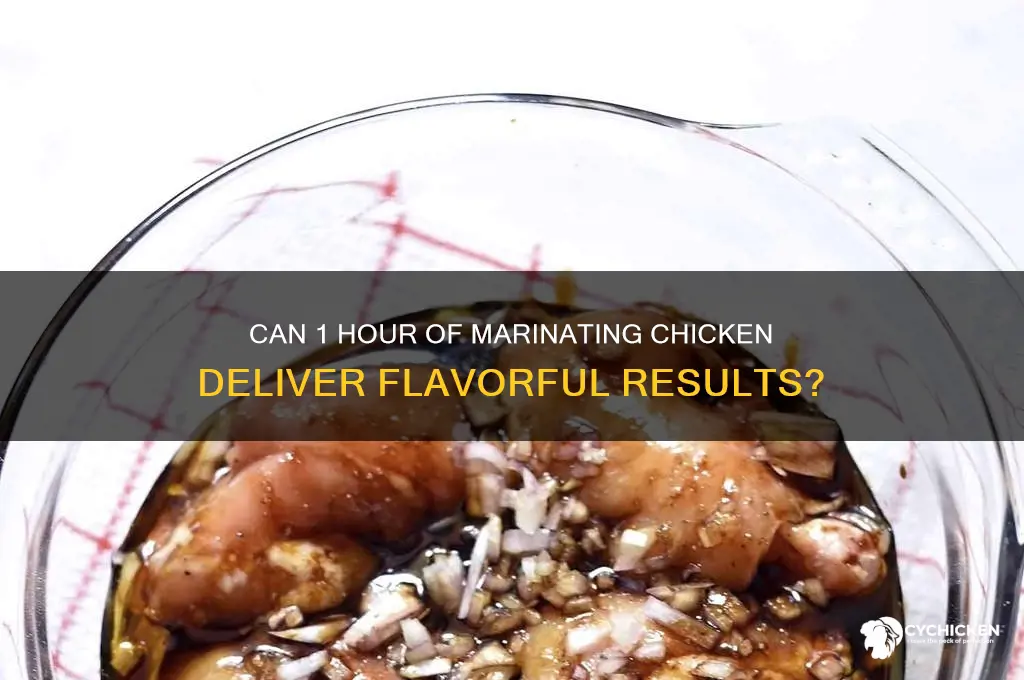 is 1 hour enough to marinate chicken