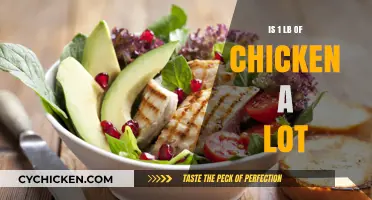 Is One Pound of Chicken a Lot? Portion Size Explained