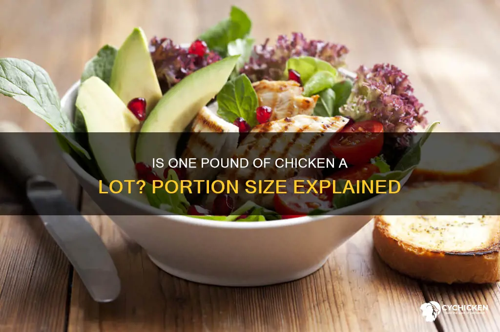 is 1 lb of chicken a lot