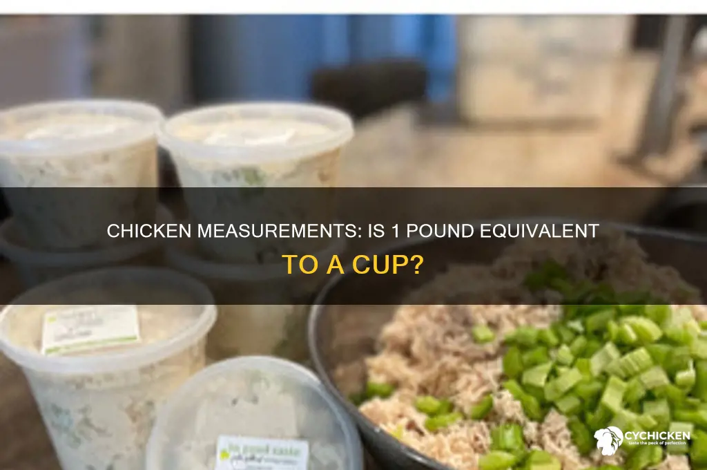 is 1 pound of chicken about a cup