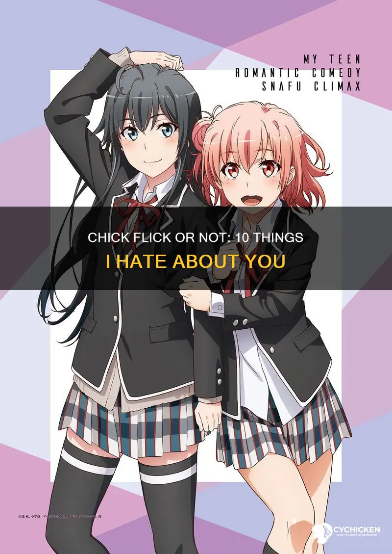 is 10 things i hate about you a chick flick