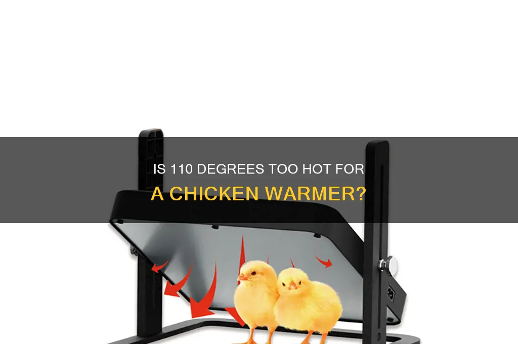 is 110 degrees too hot for chicken warmer