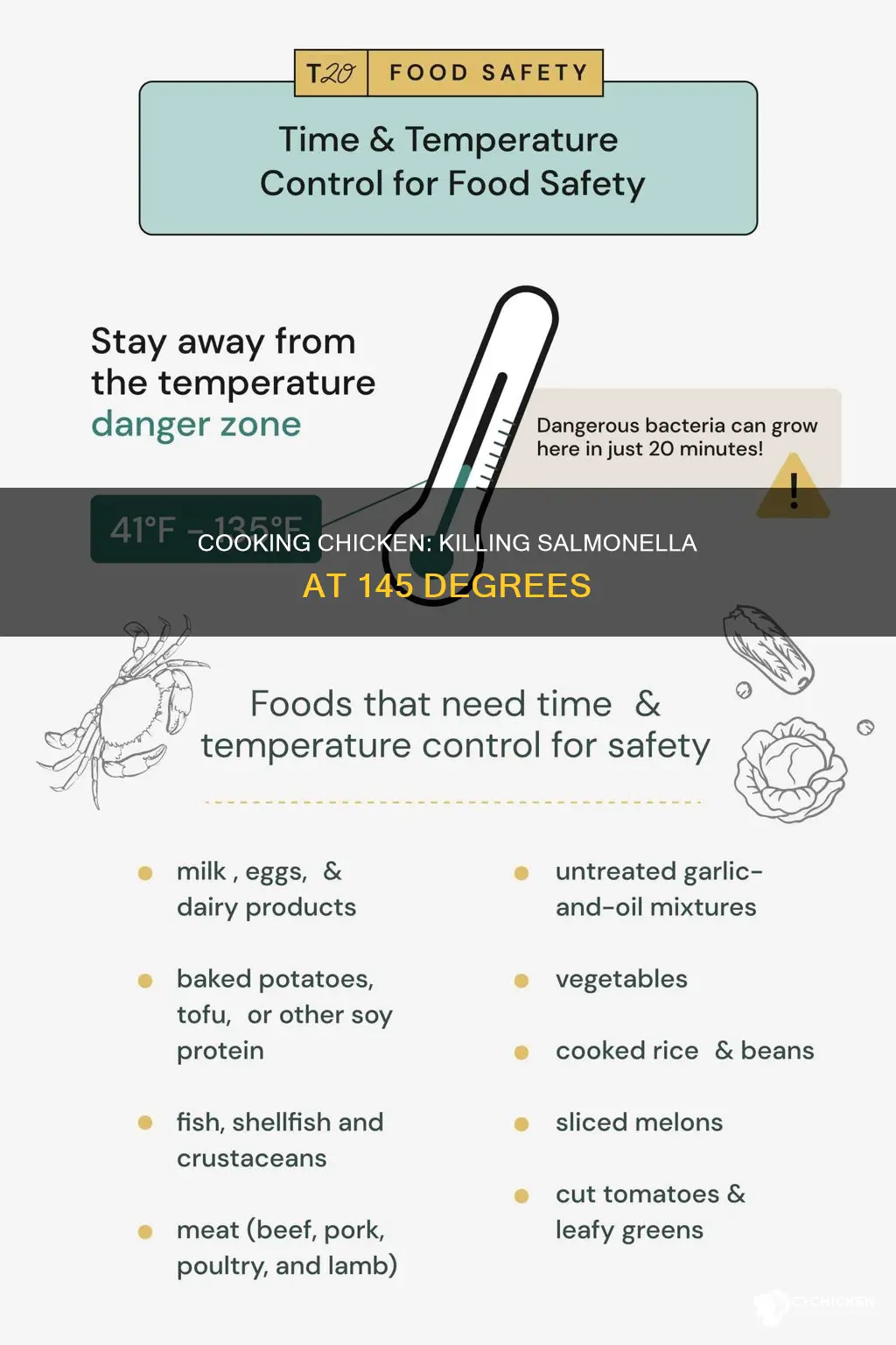 is 145 degrees enough to kill salmonella in chicken