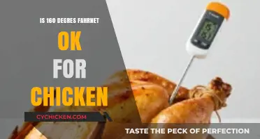 Is 160°F Safe for Chicken? Cooking Temperature Guide