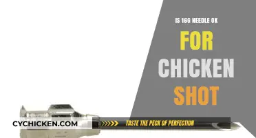 Using 16G Needles for Chicken Injections: Safe or Risky?