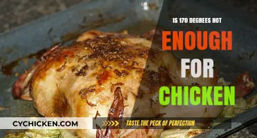 Is 170 Degrees the Perfect Temperature for Cooking Chicken?