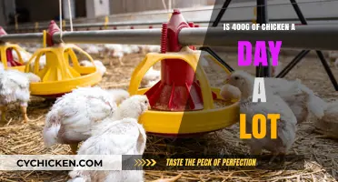 Is Eating 400g of Chicken Daily Healthy or Excessive?