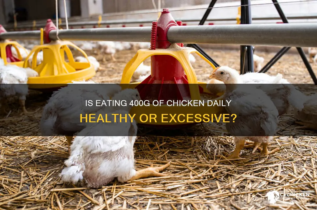 is 400g of chicken a day a lot