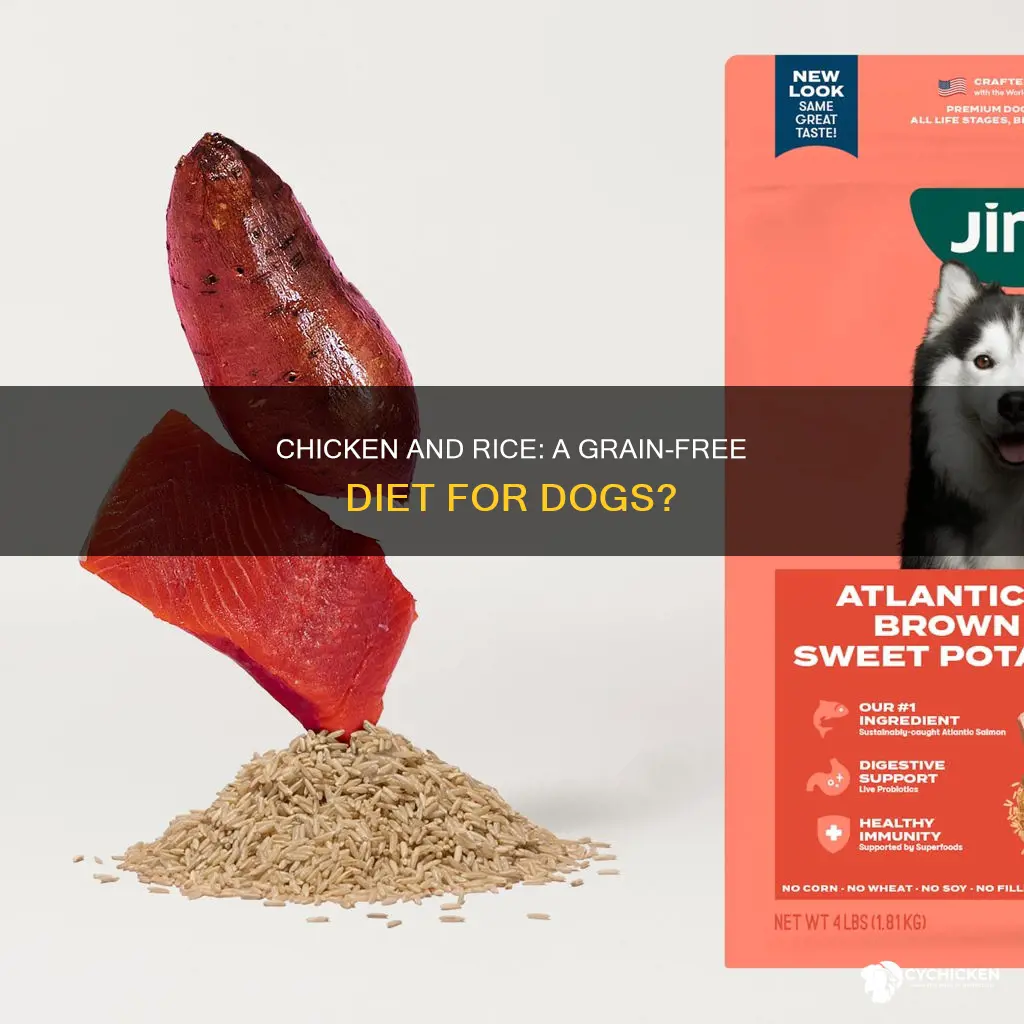is 4health chicken and rice dog food grain free