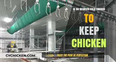 Chilling Truth: Is 50 Degrees Safe for Storing Chicken?