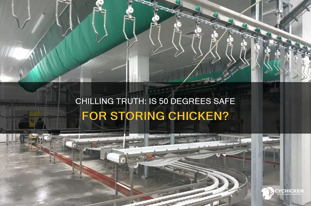 is 50 degrees cold enough to keep chicken