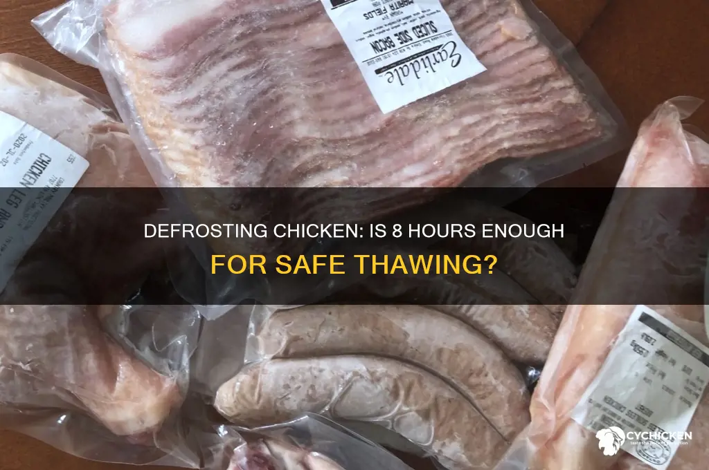 is 8 hours enough to defrost chicken