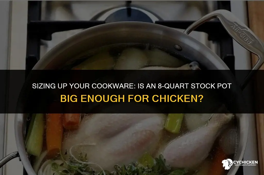 is 8 qt stock pot big enough for chicken