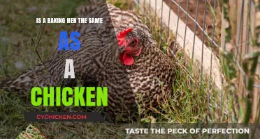 Baking Hens: Same as Chicken or Different?