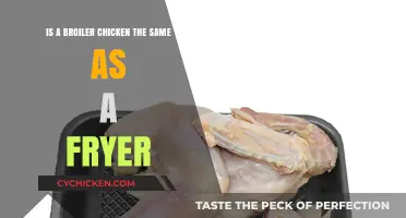 Broiler vs Fryer Chicken: What's the Difference?