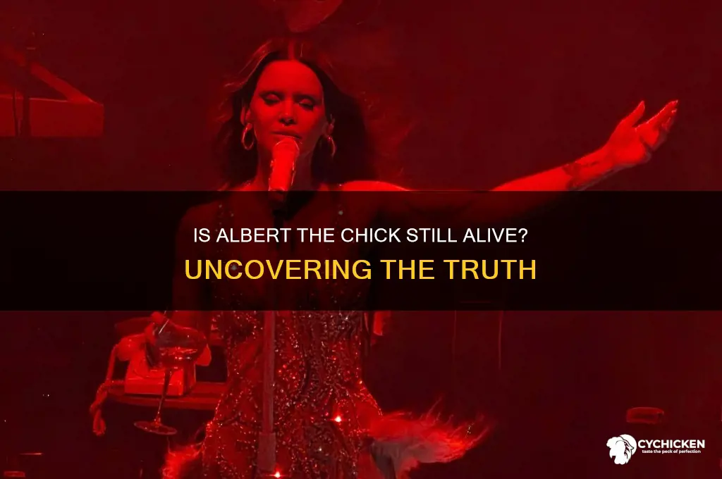 is a chick called albert still alive