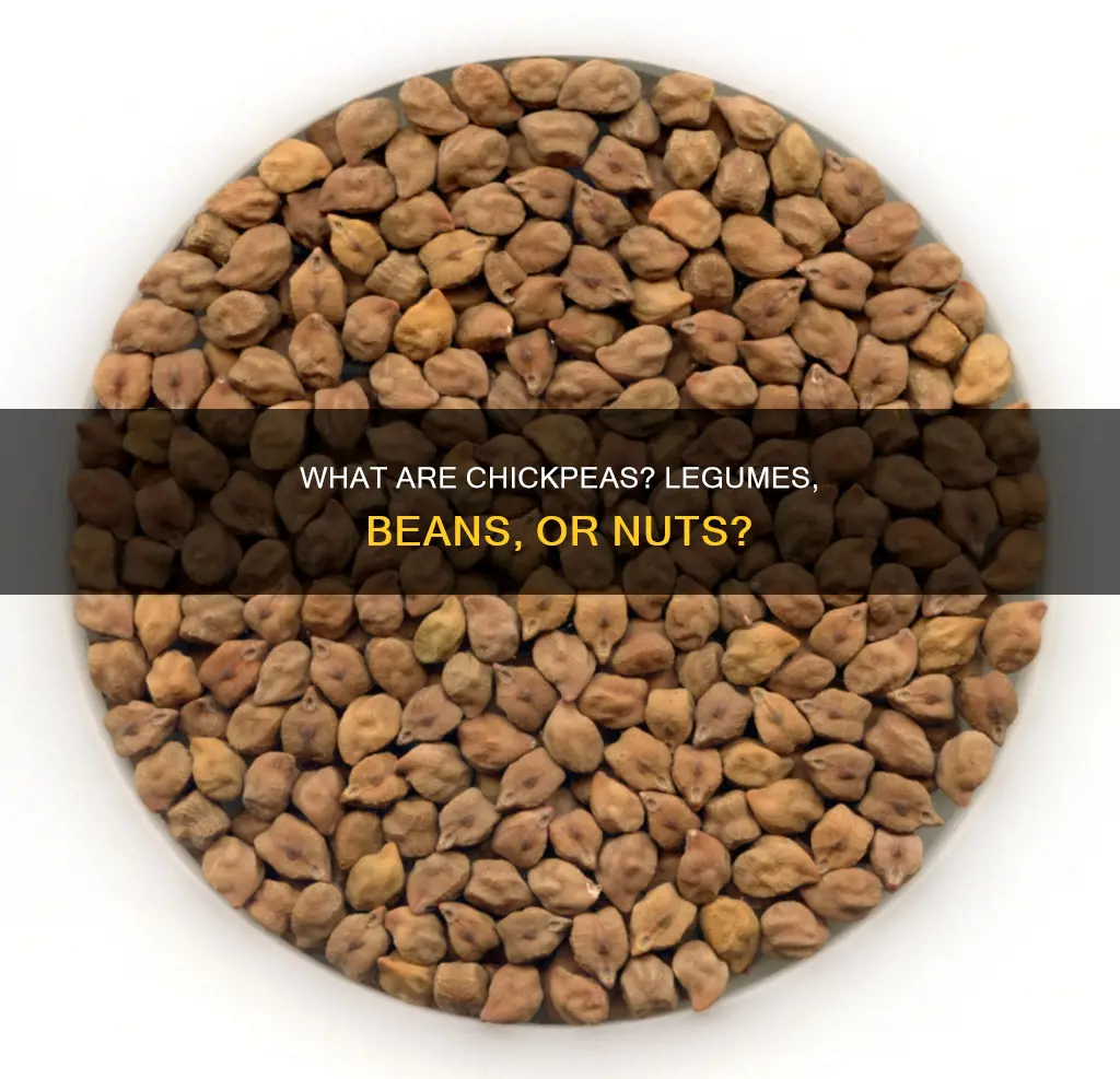 is a chick pea a bean or a nut