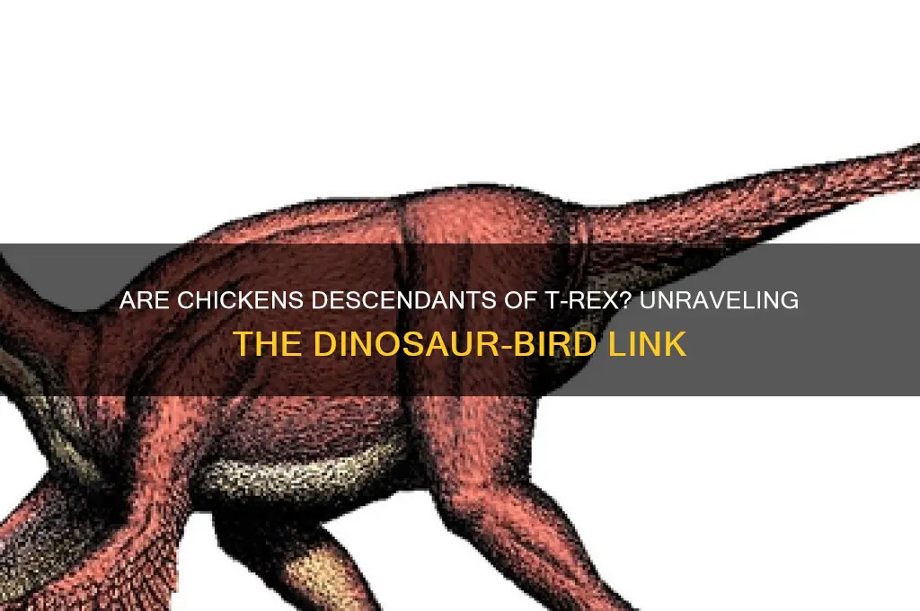 is a chicken a decendabt of trex