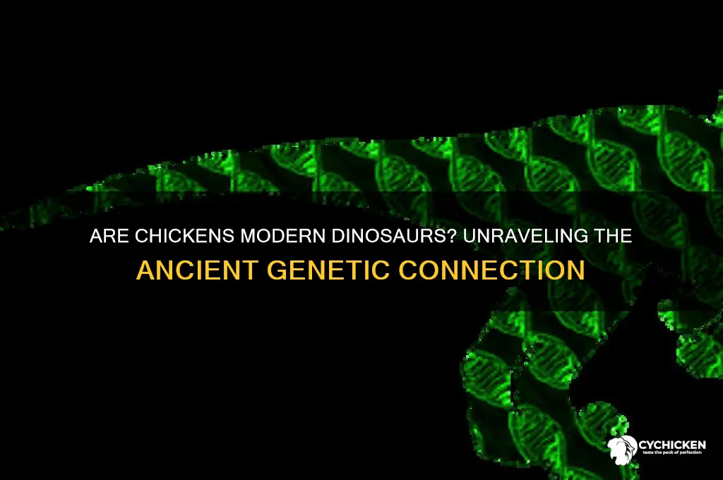 is a chicken a descendant of a dinosaur