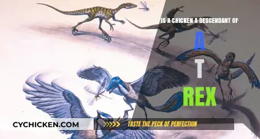 Chicken or T-Rex Descendant: Unraveling the Ancient Mystery