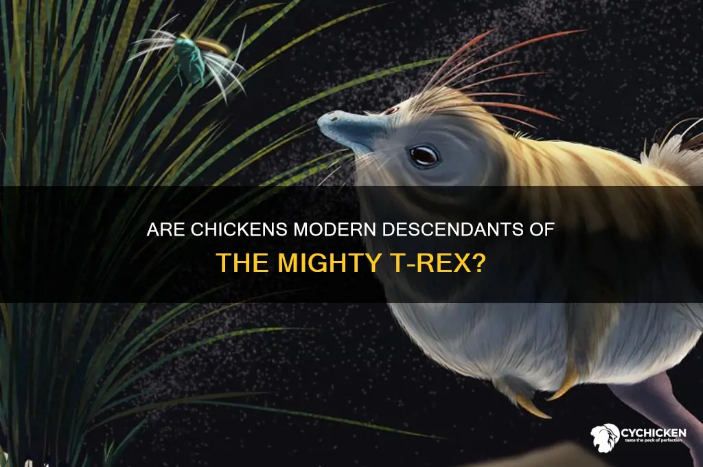 is a chicken a descendant of a trex