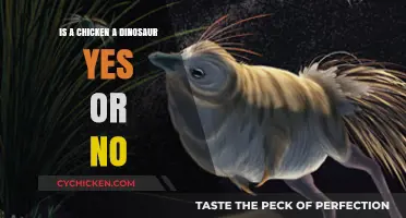 Are Chickens Modern Dinosaurs? Unraveling the Evolutionary Mystery