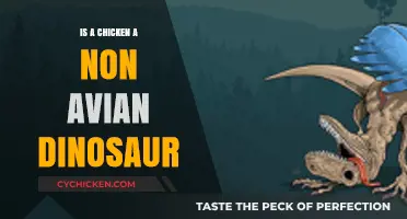 Are Chickens Modern Non-Avian Dinosaurs? Unraveling the Evolutionary Link