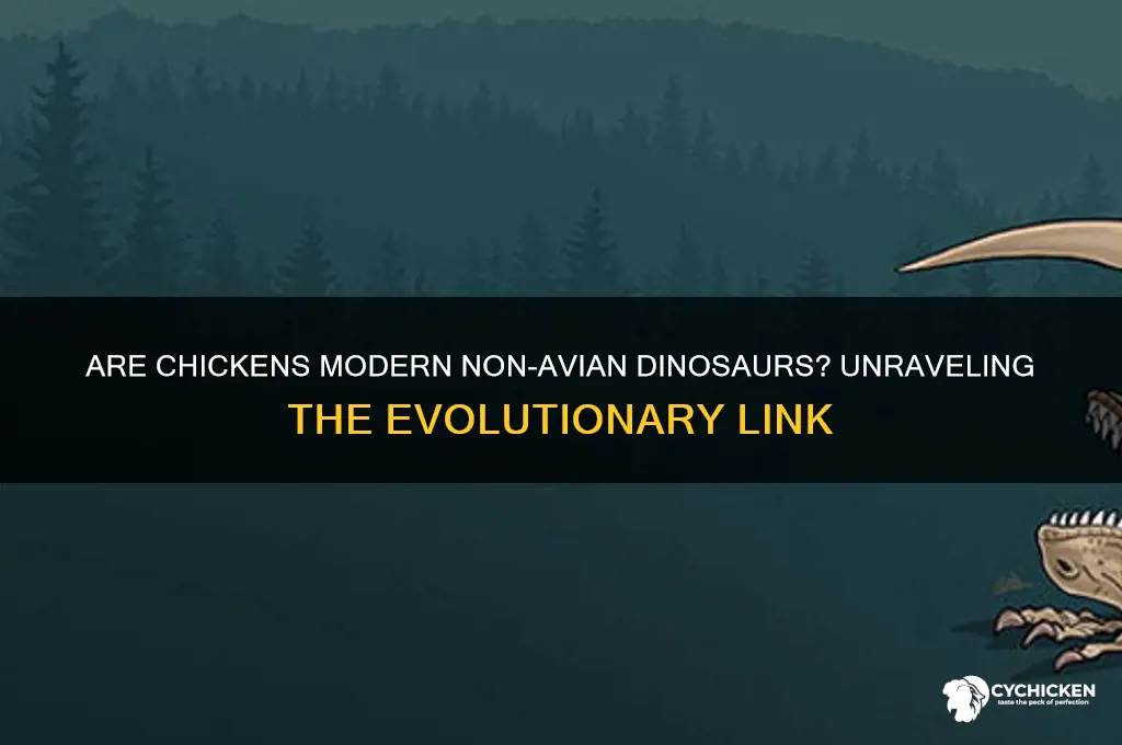 is a chicken a non avian dinosaur