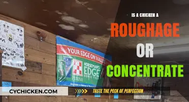 Chicken Feed Basics: Roughage or Concentrate? Understanding Poultry Nutrition