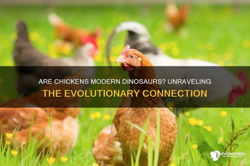is a chicken a type of dinosaur