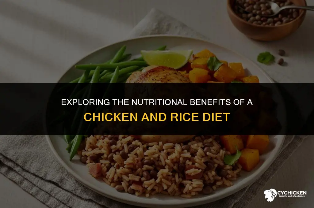 is a chicken and rice diet healthy