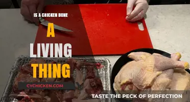Are Chicken Bones Alive? Unraveling the Living Thing Debate