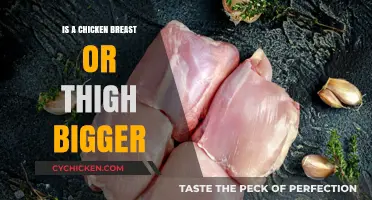 Chicken Breast vs. Thigh: Which Cut is Bigger?