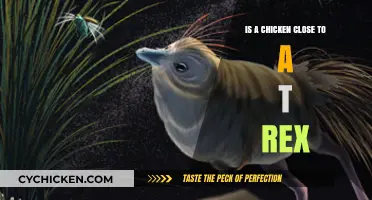 Chickens and T-Rex: Unraveling the Surprising Genetic Connection