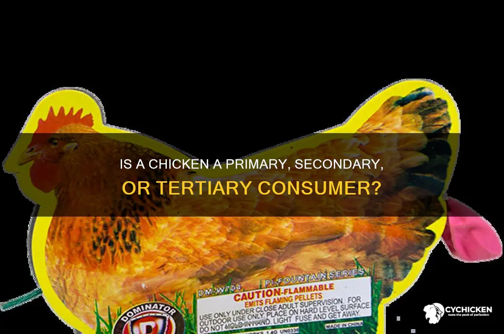 is a chicken considered a what consumer