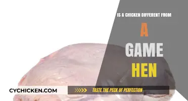 Chicken vs. Game Hen: Understanding the Key Differences and Uses
