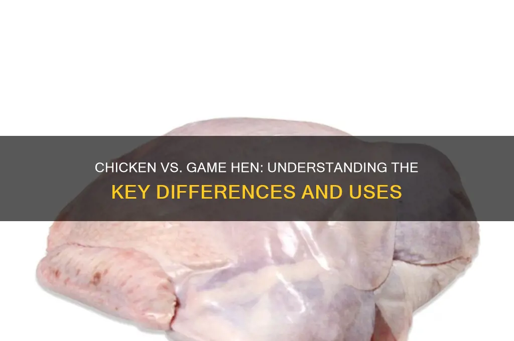 is a chicken different from a game hen
