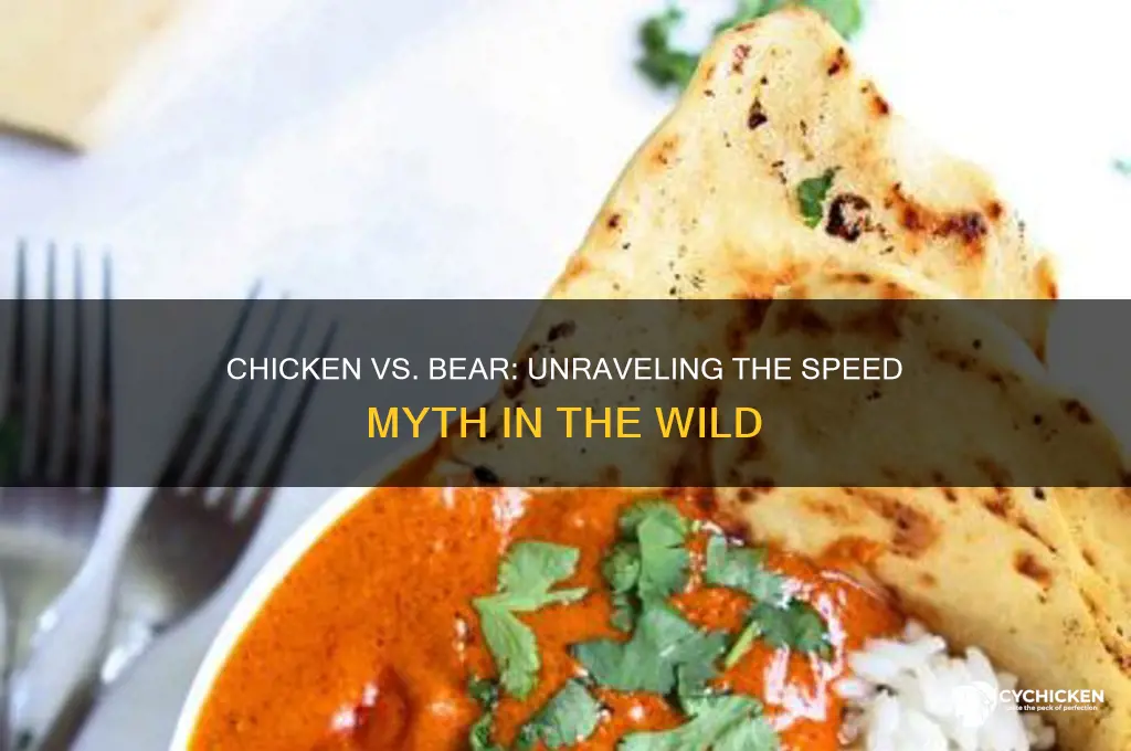is a chicken faster than a bear
