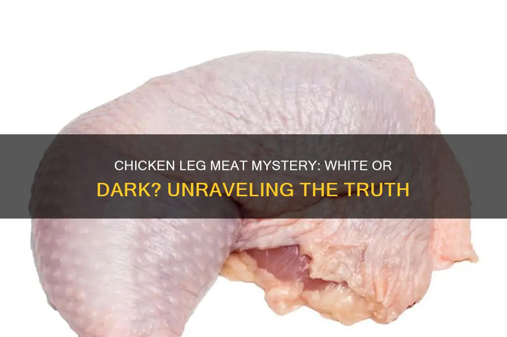 is a chicken leg white or dark meat