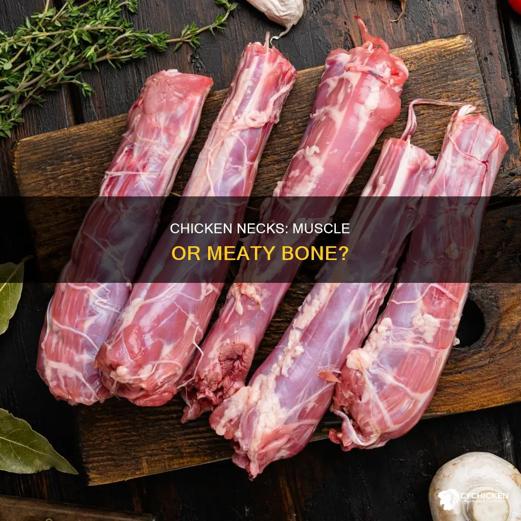 is a chicken neck considered a muscle or meaty bone